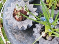 SaiFou Concrete Flower Pots
